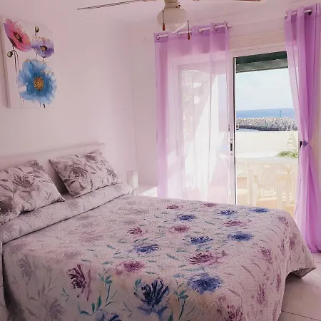 Azul Window 公寓 圣米格尔德阿沃纳